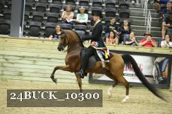 24BUCK_10300 proof