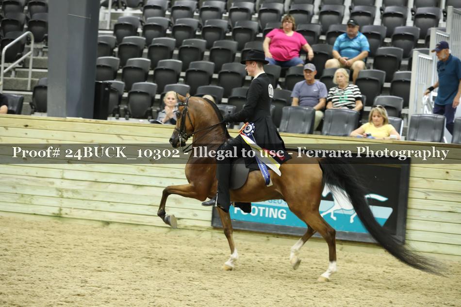 Proof 24BUCK_10302