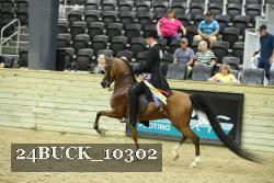 24BUCK_10302 proof