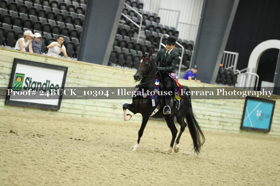 Proof 24BUCK_10304