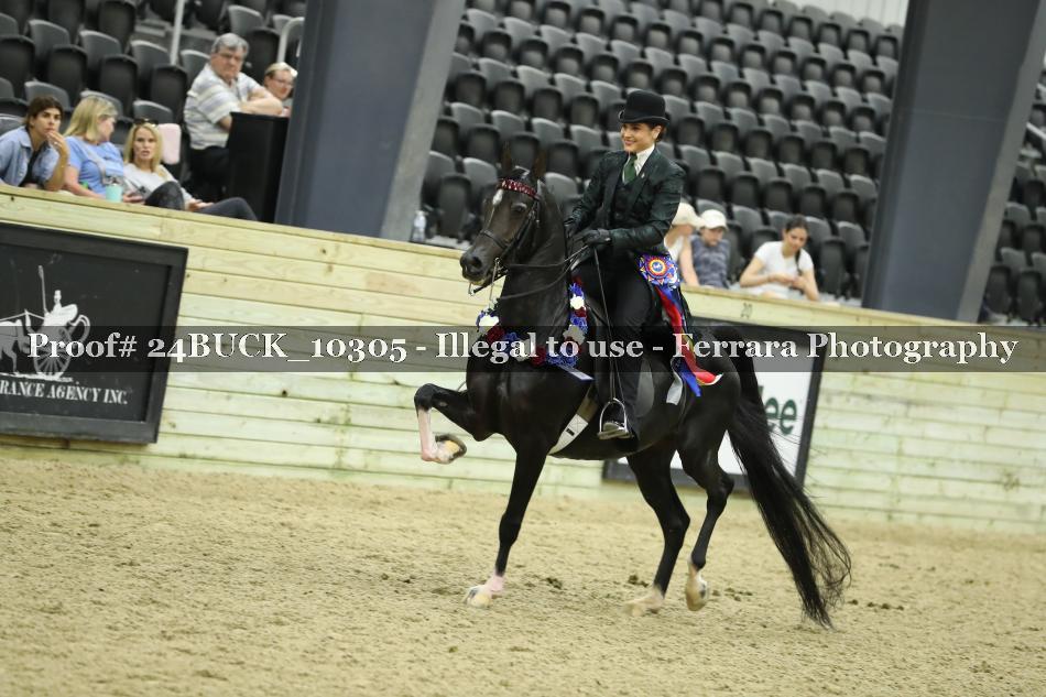 Proof 24BUCK_10305