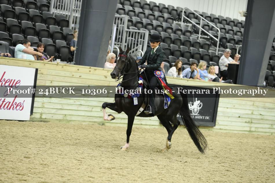 Proof 24BUCK_10306