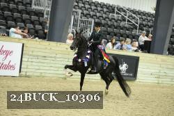 24BUCK_10306 proof