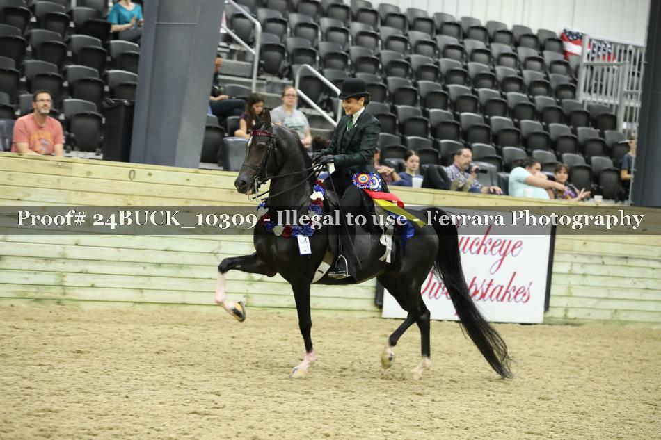 Proof 24BUCK_10309