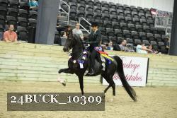 24BUCK_10309 proof