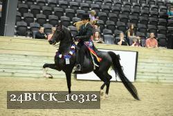 24BUCK_10312 proof