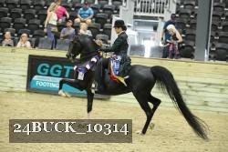 24BUCK_10314 proof