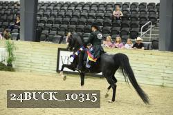 24BUCK_10315 proof