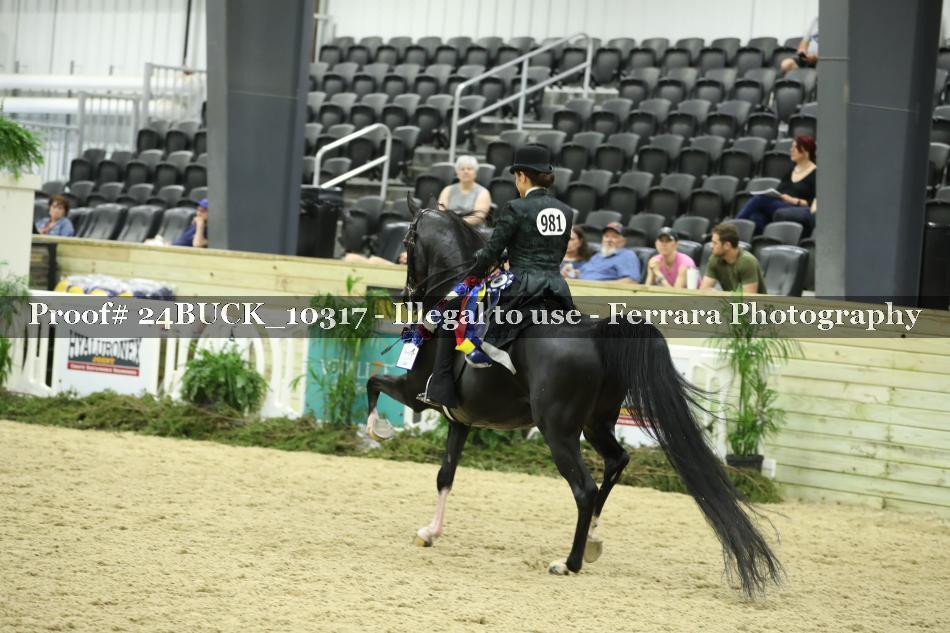 Proof 24BUCK_10317