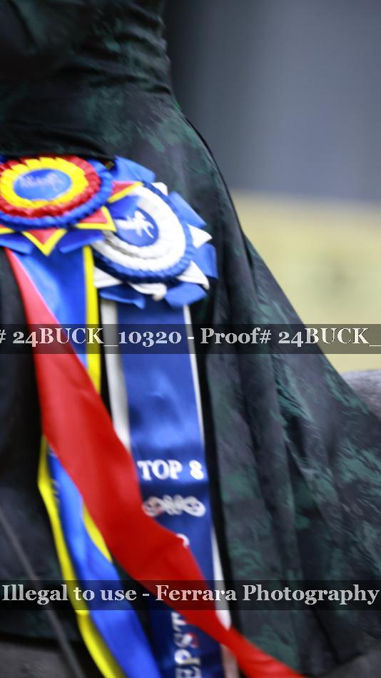 Proof 24BUCK_10320