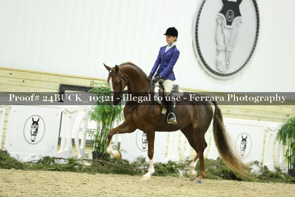 Proof 24BUCK_10321