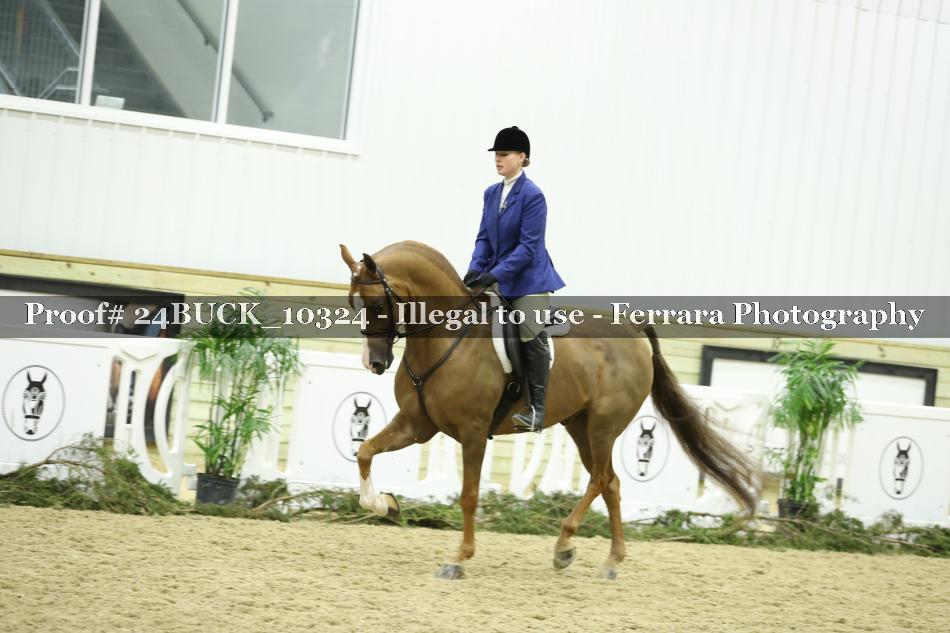 Proof 24BUCK_10324