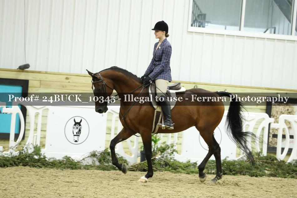 Proof 24BUCK_10345