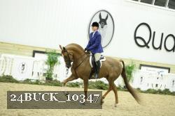 24BUCK_10347 proof
