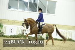 24BUCK_10349 proof