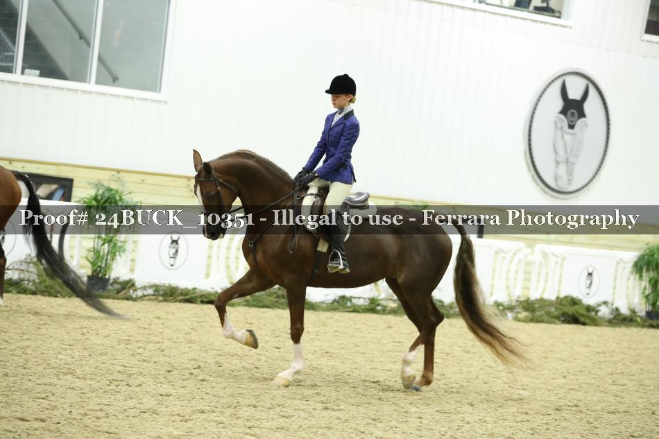 Proof 24BUCK_10351