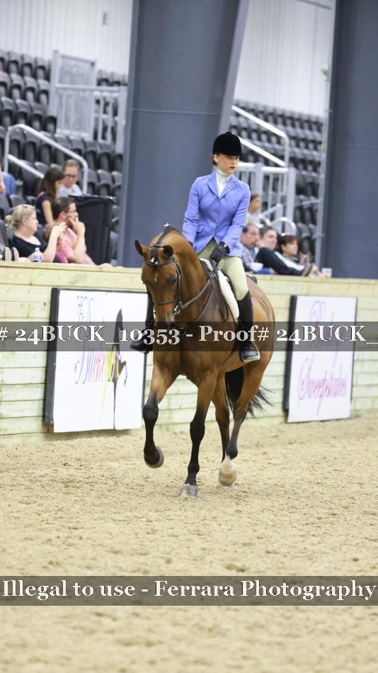 Proof 24BUCK_10353