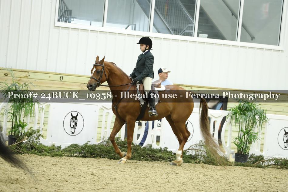Proof 24BUCK_10358