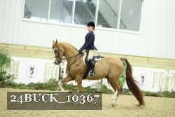 24BUCK_10367 proof