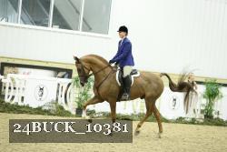 24BUCK_10381 proof