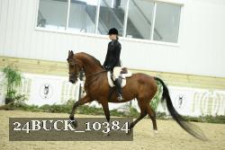 24BUCK_10384 proof