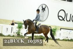 24BUCK_10385 proof