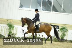 24BUCK_10388 proof