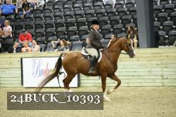 24BUCK_10393 proof