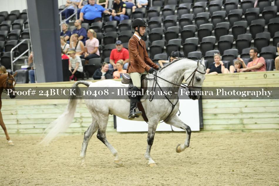 Proof 24BUCK_10408