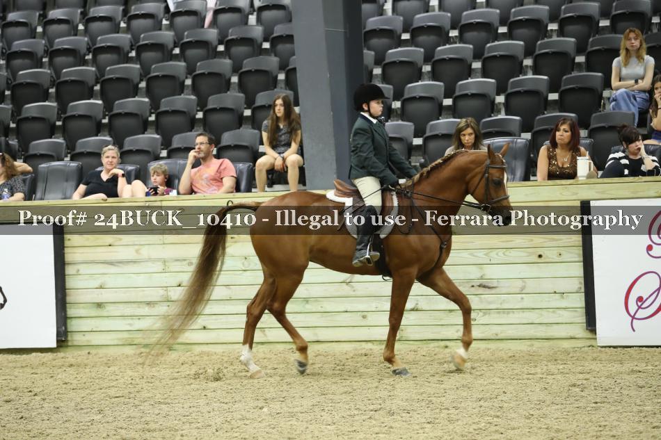 Proof 24BUCK_10410