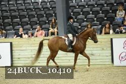 24BUCK_10410 proof