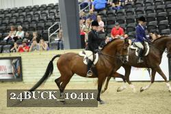 24BUCK_10411 proof