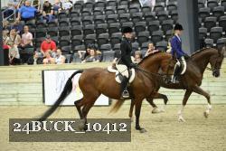 24BUCK_10412 proof