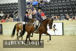 24BUCK_10417 proof