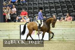 24BUCK_10427 proof