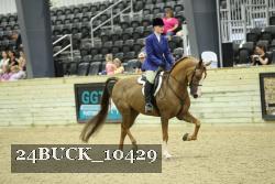 24BUCK_10429 proof