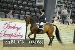 24BUCK_10463 proof