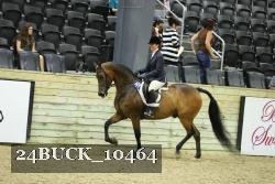 24BUCK_10464 proof