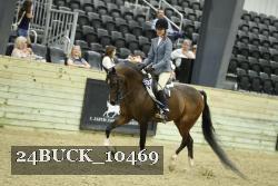 24BUCK_10469 proof