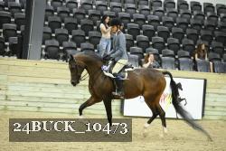 24BUCK_10473 proof