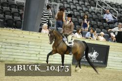 24BUCK_10475 proof