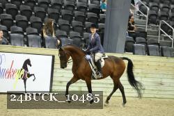 24BUCK_10485 proof