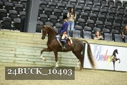 24BUCK_10493 proof