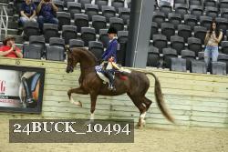 24BUCK_10494 proof