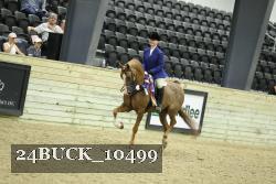 24BUCK_10499 proof