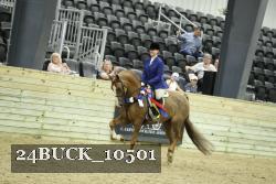 24BUCK_10501 proof