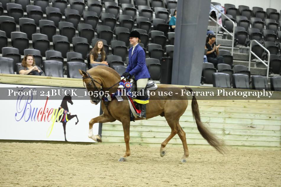 Proof 24BUCK_10505