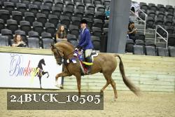24BUCK_10505 proof