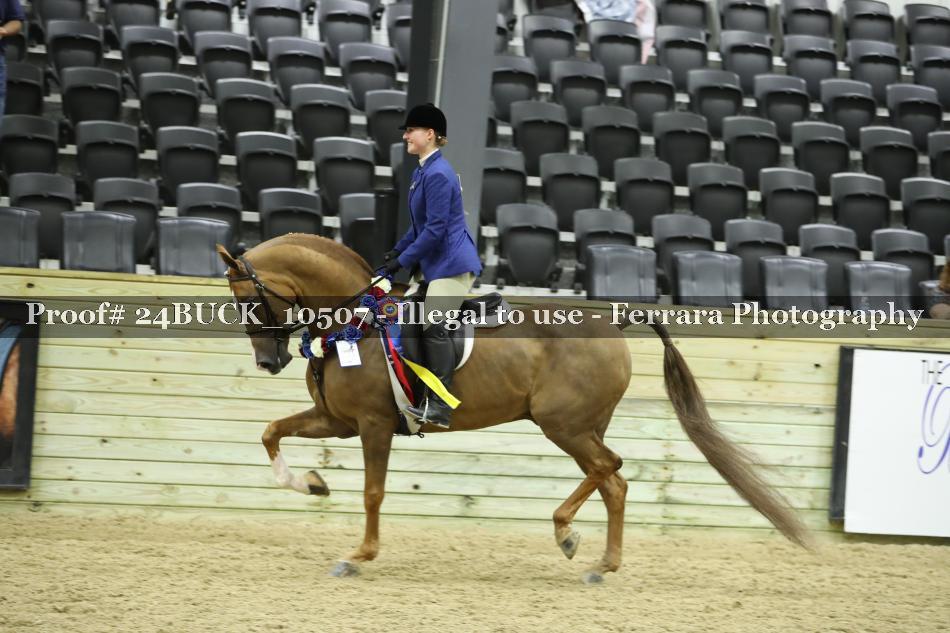 Proof 24BUCK_10507