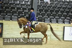24BUCK_10507 proof